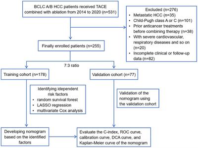 Nomogram for predicting post-therapy recurrence in BCLC A/B hepatocellular carcinoma with Child-Pugh B cirrhosis